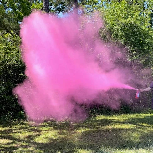 Gender Reveal Fire Extinguishers Pink