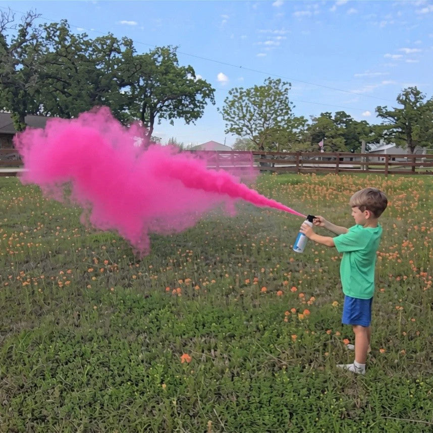 Mini Pink Gender Reveal Fire Extinguisher