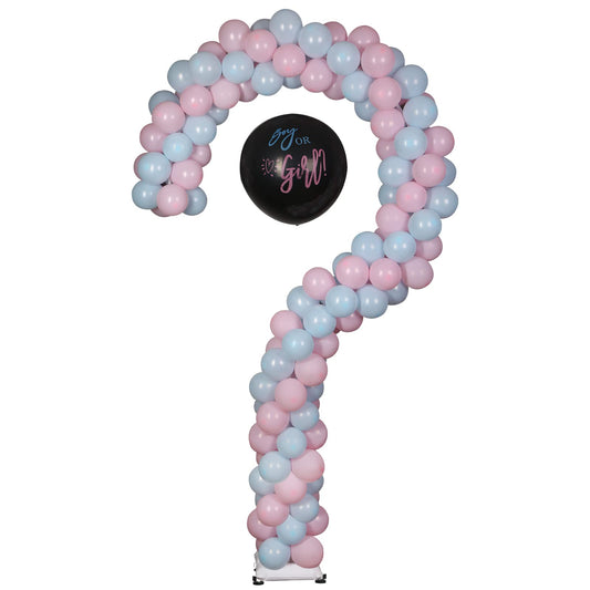 Question Mark for Gender Reveal